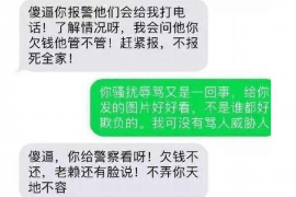 沅陵债务清欠服务